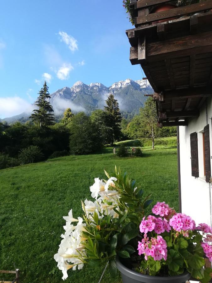 B&B Il Crogiolo Bosentino Exteriör bild